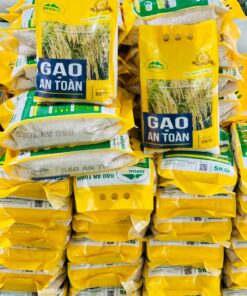 5f143db882d3499bb3a6defed1bbf881tplv aphluv4xwc origin jpeg