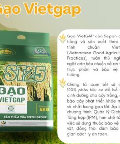 6e2da54250ad4bc9944353a80ac03200tplv aphluv4xwc origin jpeg