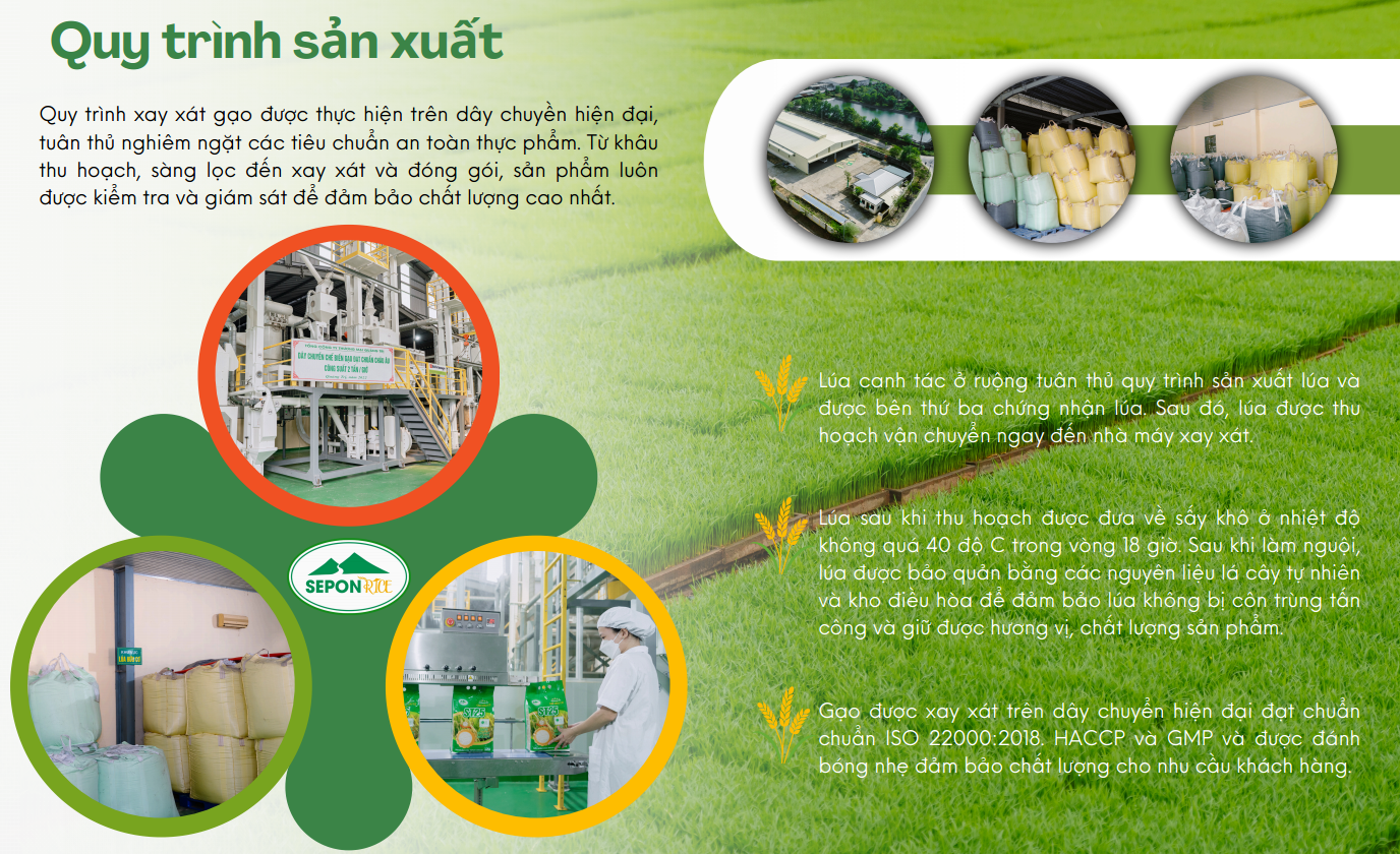 screenshot 1733285547